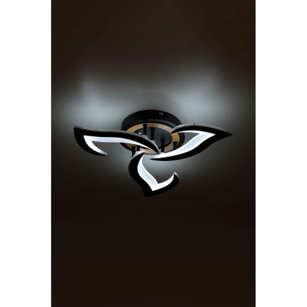 Светильник потолочный светодиодный Rivoli Cassandra 6194-703 LED 3000-6250К 42 Вт с пультом | Интерьерные светодиодные светильники