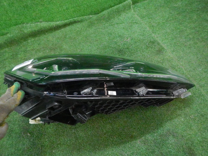 DSCN5168.JPG