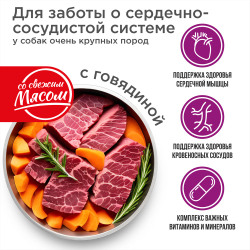 Корм сухой для взрослых собак очень крупных пород, премиум полнорационный комплекс, для заботы сердечно-сосудистой системы, с говядиной, 2,5 кг, QUATTRO