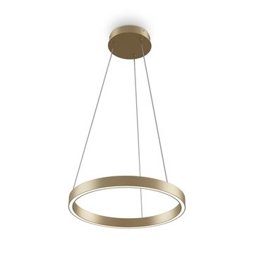 Подвесной светодиодный светильник 24W 2600К/3500К MOD058PL-L22BSK латунь Rim Maytoni