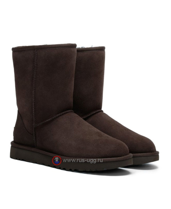 MEN'S CLASSIC SHORT II Chocolate