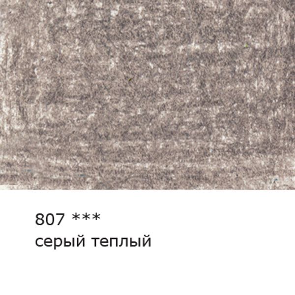 Карандаш цветной художественный заточенный, 6 шт, 807 Серый теплый (Warm gray), Vista-Artista Gallery VGCP