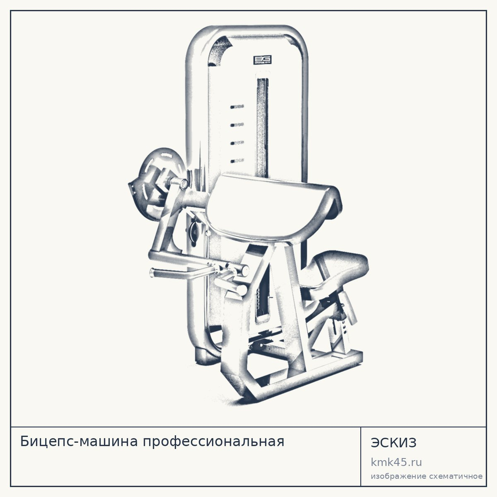 Бицепс-машина профессиональная — от 146 000 ₽
