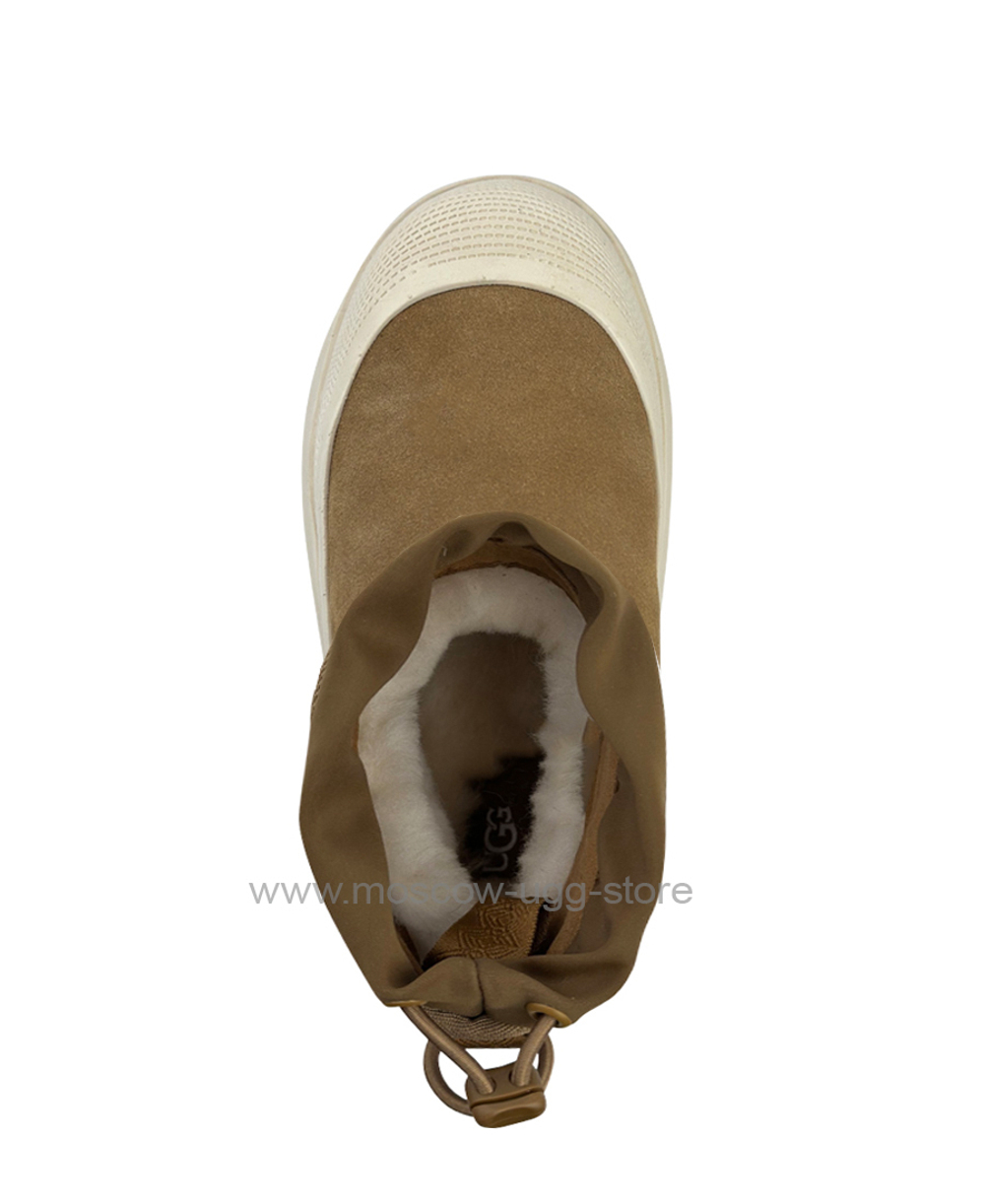 MINI WEATHER HYBRID - chestnut whitecap