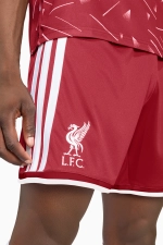 Шорты adidas Liverpool FC 26/27 Home - бордовый