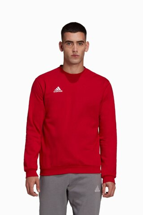 Кофта adidas Entrada 22 Sweat Top