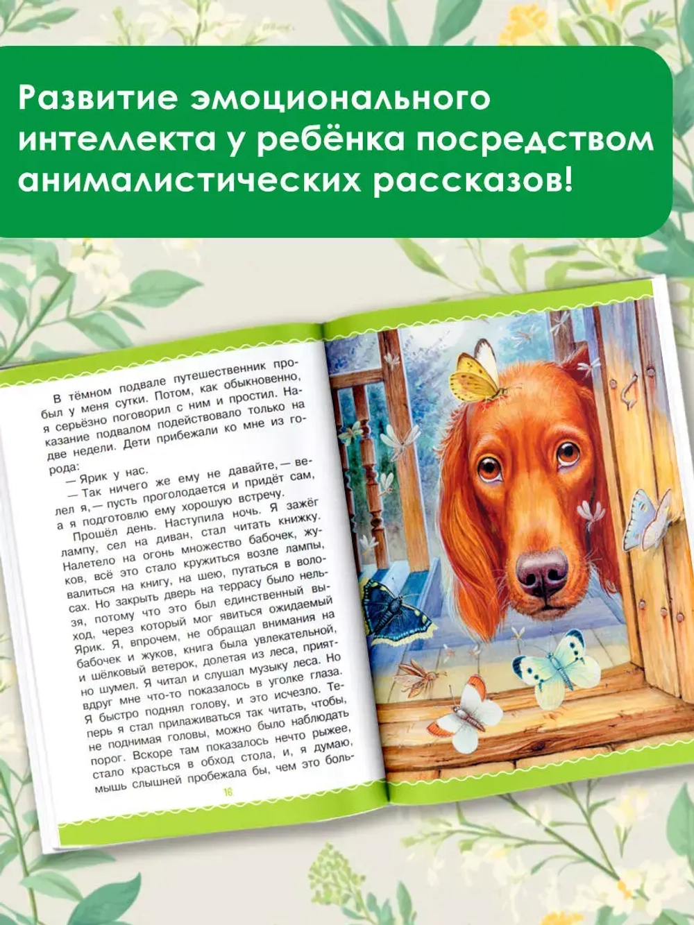 Рассказы