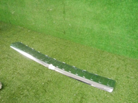 DSCN8905.JPG