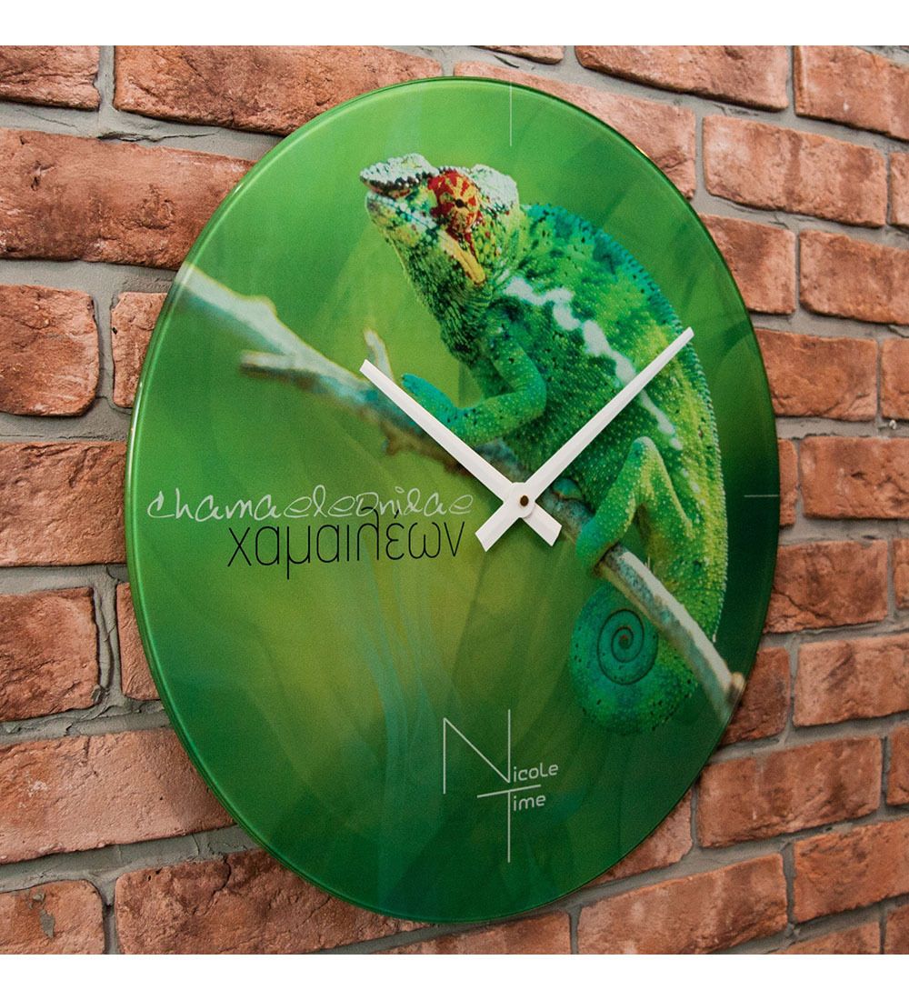 Салют SLT- 06 Часы настенные «NATURE»