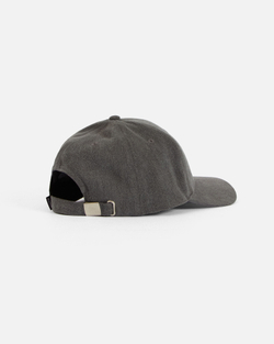 Кепка Anteater Baseball Серый