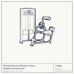 Тренажёр разгибание спины профессиональный — от 215 000 ₽