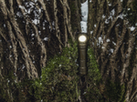 Фонарь Armytek Wizard C2 Pro Max Olive