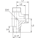 Штуцер FLC DL10 BSPT 1/4" (корпус) CAST