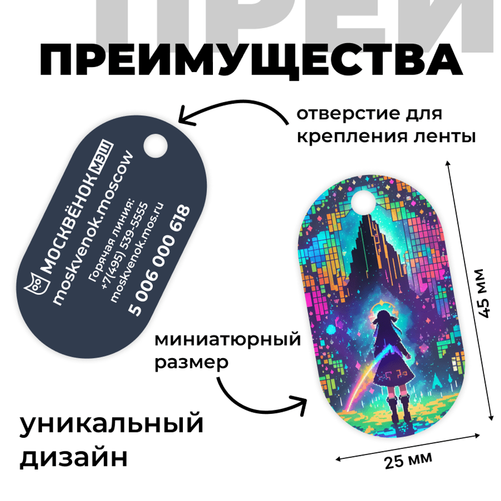 Брелок Москвёнок ART №8 (проход + питание)
