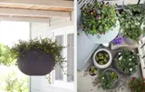 Keter Кашпо Cozies S  подвесное Violet 610 — фото 3