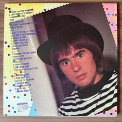 Виниловая пластинка The Monkees ‎– Golden Story 2LP