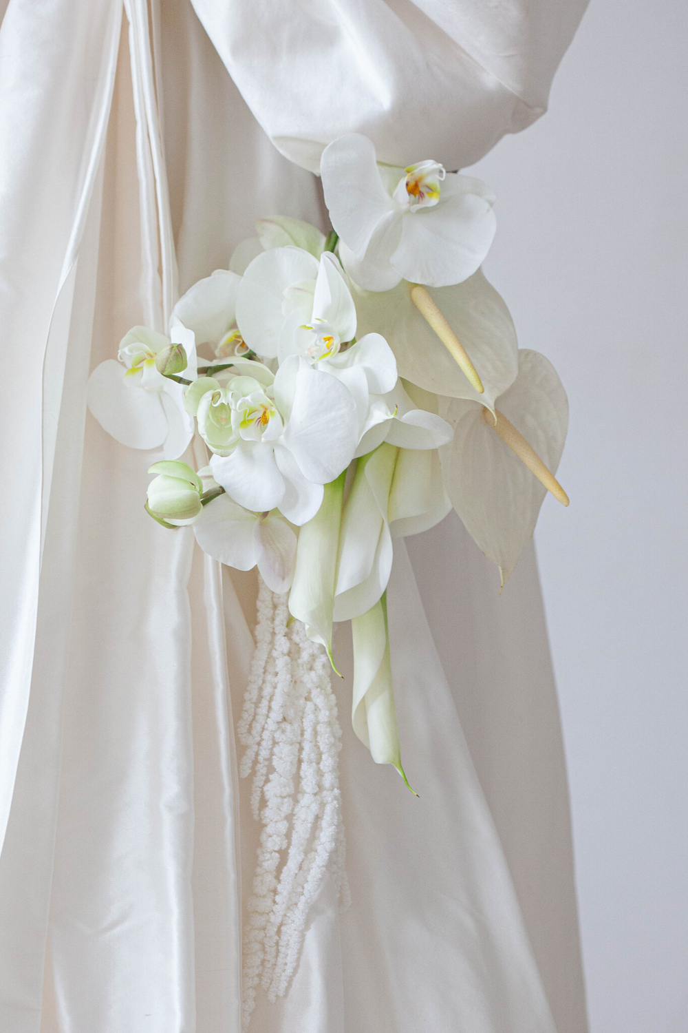 White Delight
