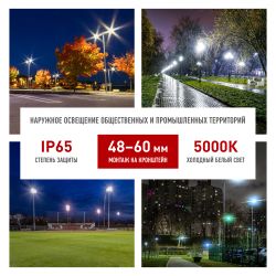 Светильник уличный светодиодный ЭРА SPP-5-60-5K-W 60Вт 5000К IP65 КСС Ш гарантия 5 лет | Уличные консольные светильники