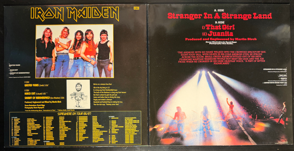 Iron Maiden ‎– Wasted Years · Stranger In A Strange Land (Европа 1990г.) 2 × Vinyl, 12", 45 RPM