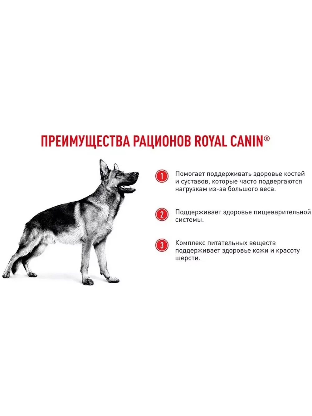 ROYAL CANIN MAXI Adult PRO (Роял Канин Макси эдалт) корм сухой для собак Maxi Adult 20 кг.