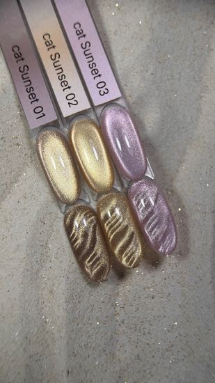 Sunset cat 01 color gel Iperfect 10g