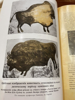 "Вселенная и человечество. История исследования природы и приложение её сил на службу человечеству". 1904г.