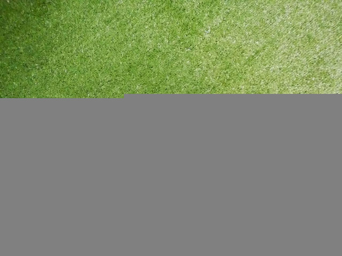 DSCN1613.jpg
