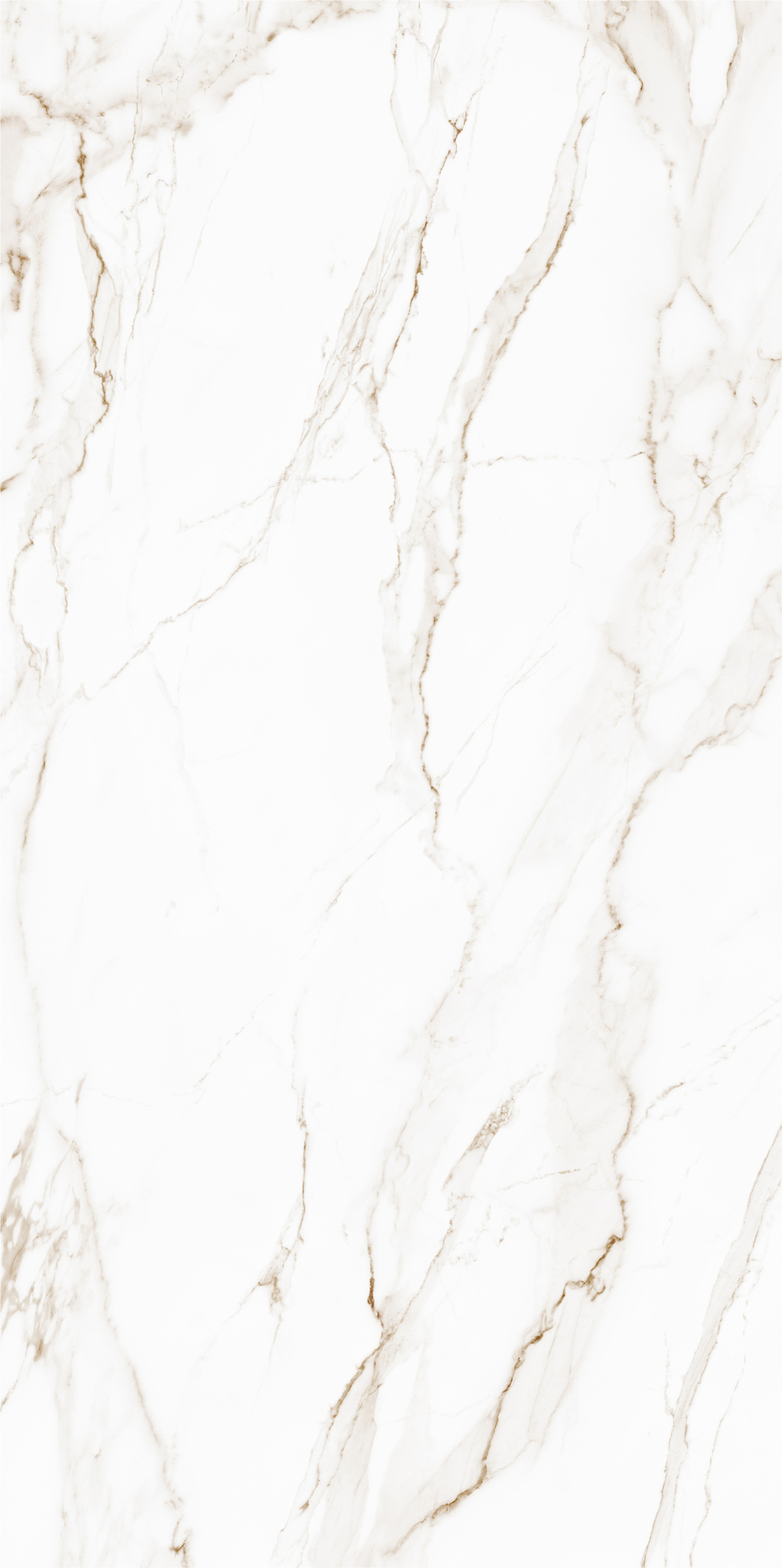 Голден бел КГ 01 / Golden white PG 01 600х1200 (стандарт)