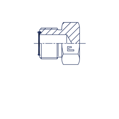 Заглушка V (Ш) ORFS 1.7/16
