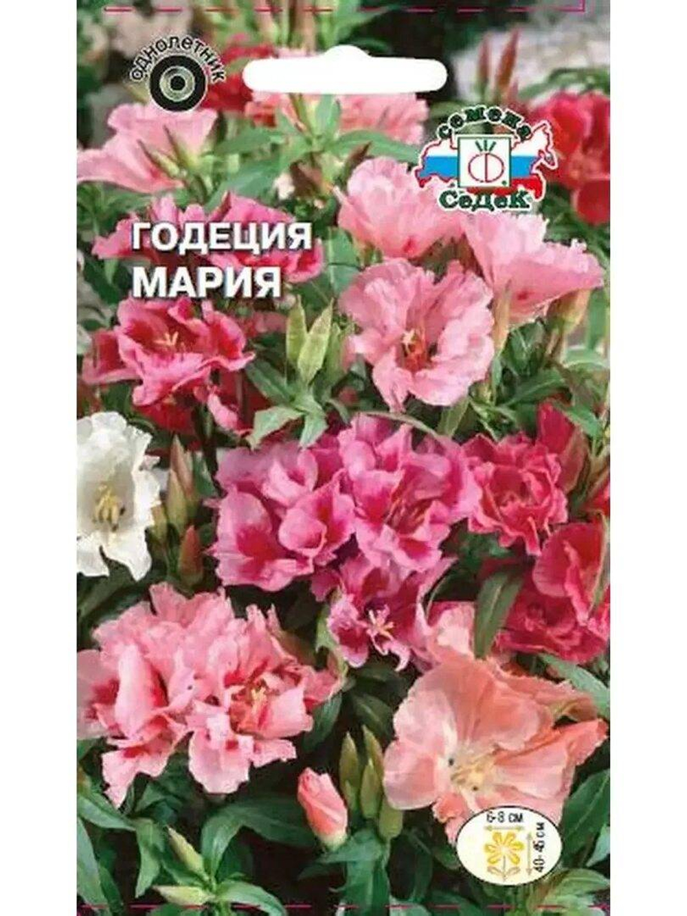 Годеция Мария (крупноцв,махр смесь ) (Евро) *10 СеДек +
