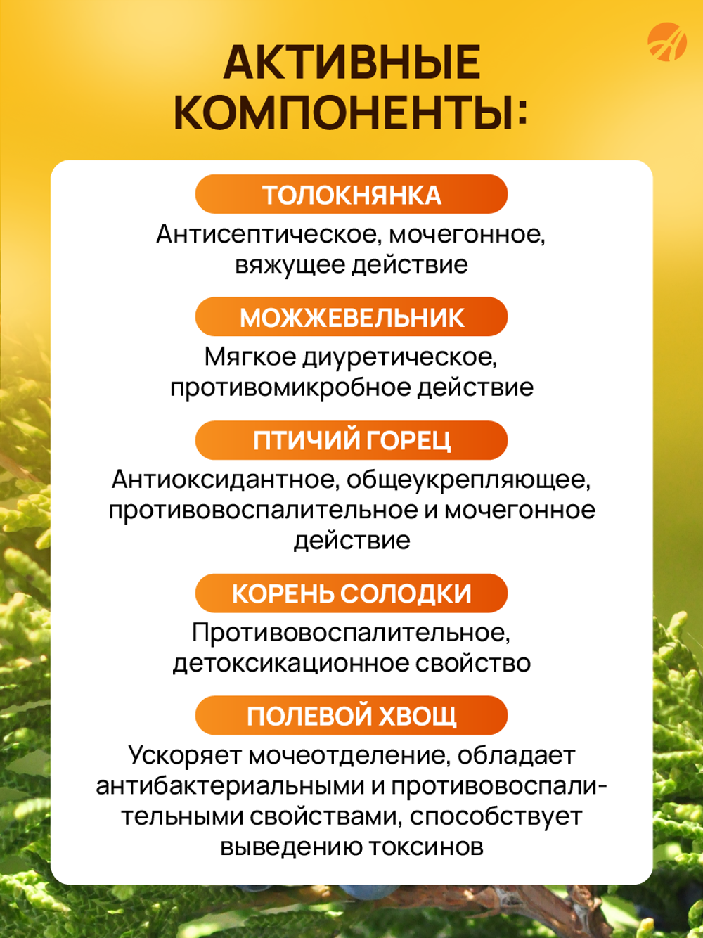 Взвар "Урошилд комфорт", 250 мл Напиток на основе экстрактов с уросептическим, детоксикационным и диуретическим действием