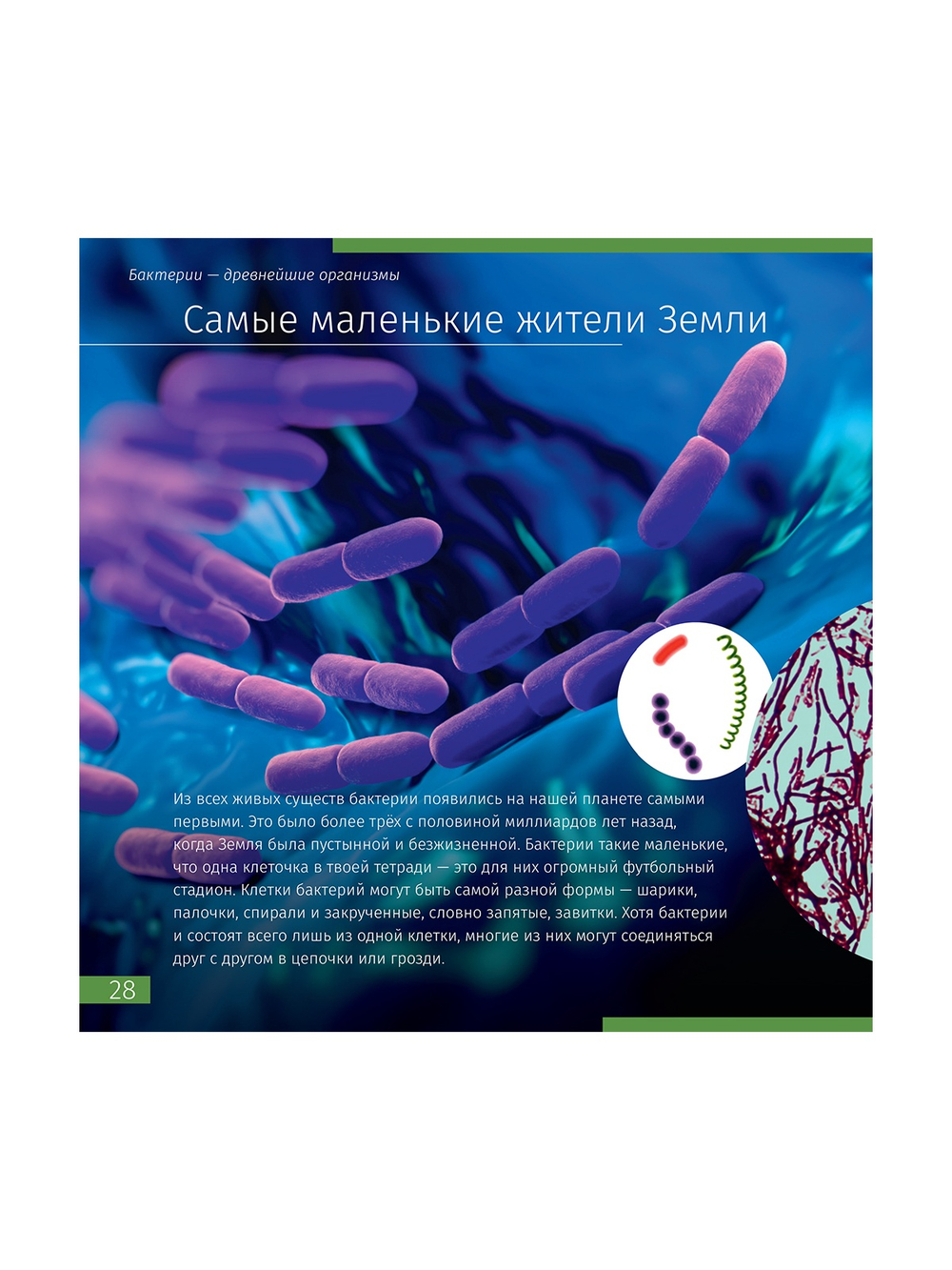 Книга знаний «Невидимый мир»