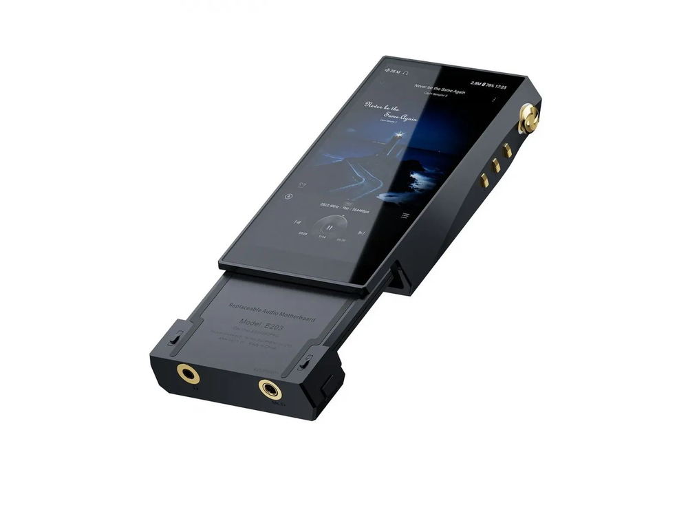 Сменный модуль Cayin E203 Black