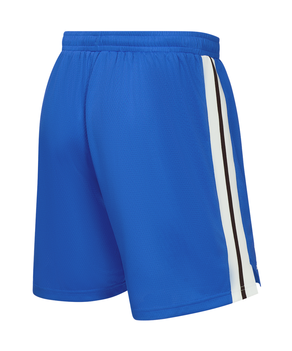 Шорты баскетбольные JÖGEL DIVISION PerFormDRY Shorts Z2, синий