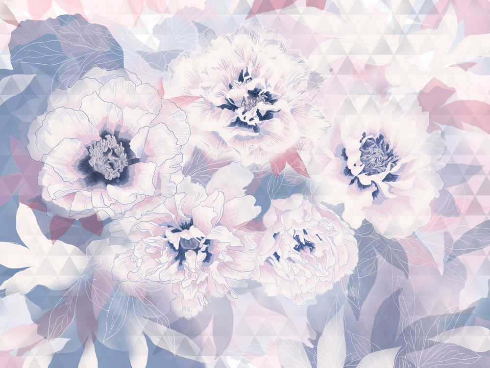 FLORESCENCE 5