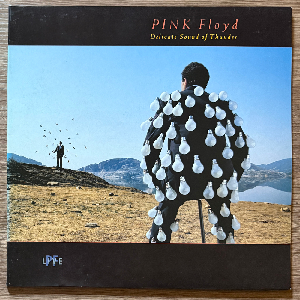 Pink Floyd - Delicate Sound Of Thunder 2LP (Европа 1988г.)