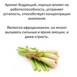 Лемонграсс, кубики восковые для ароматизации, 10 штук