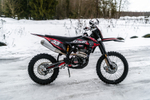 T8 Red Bear