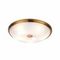 Потолочный светильник Odeon Light Walli Pelow 4956/5