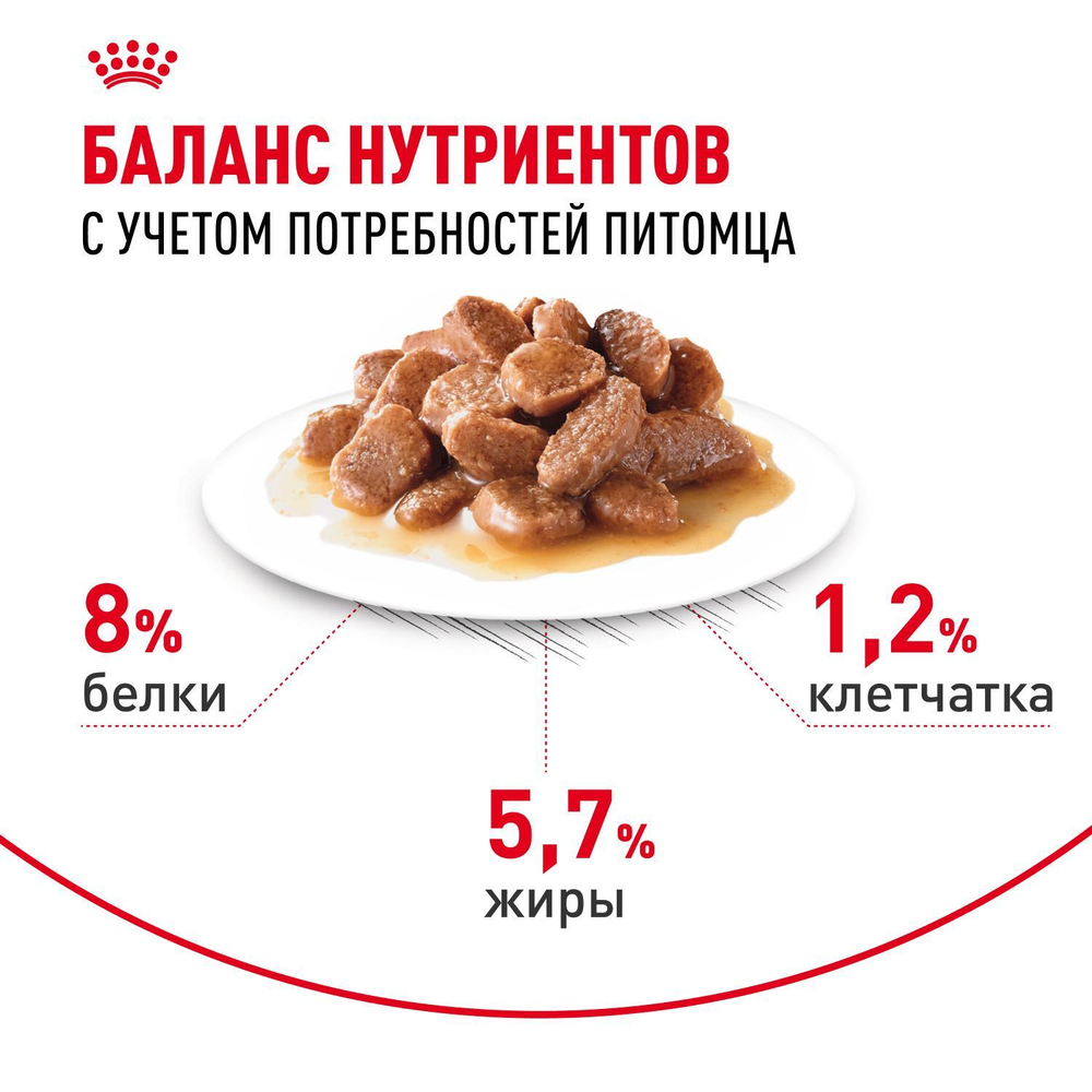 Royal Canin Mini Ageing 12+ Мини Эйджинг Корм влажный для стареющих собак мелких пород соус 85г
