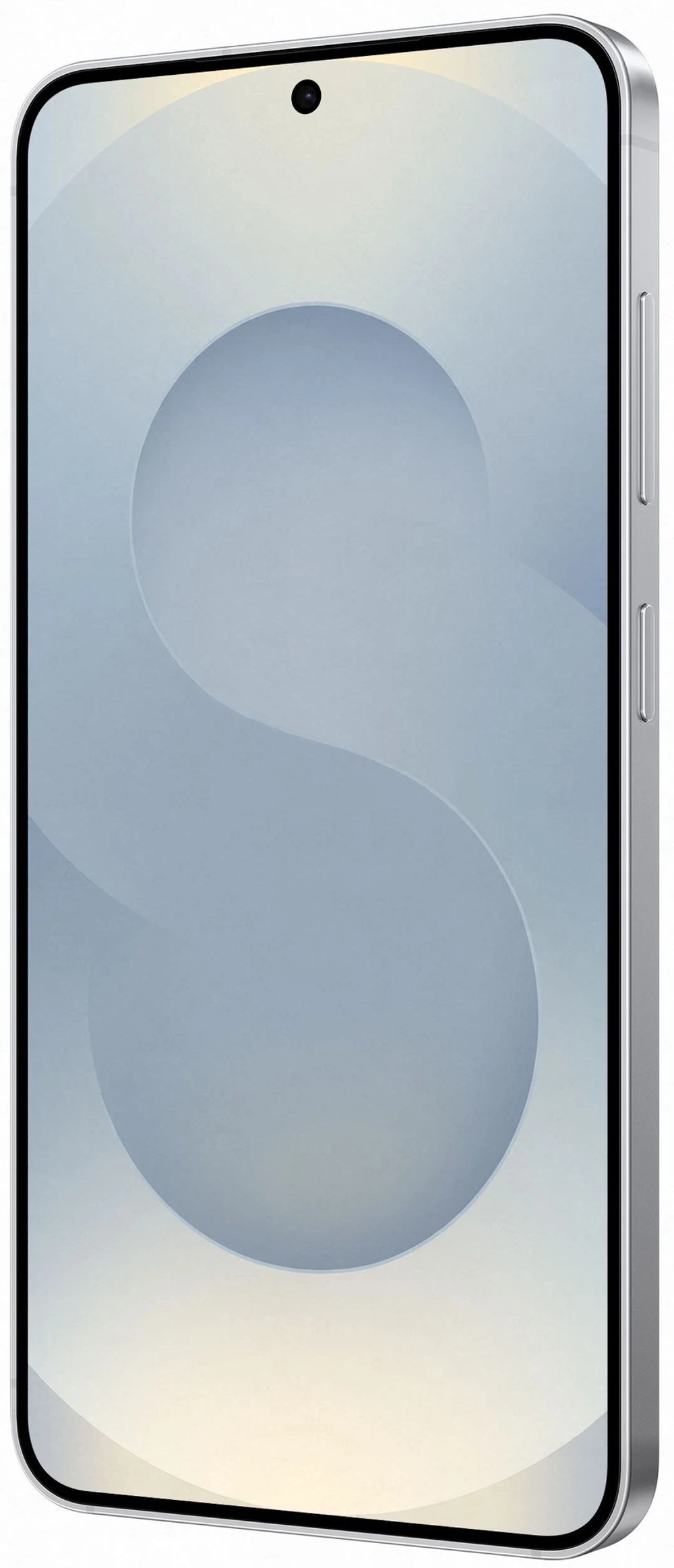 Смартфон Samsung Galaxy S25 12 ГБ + 512 ГБ Cерый | Silver Shadow