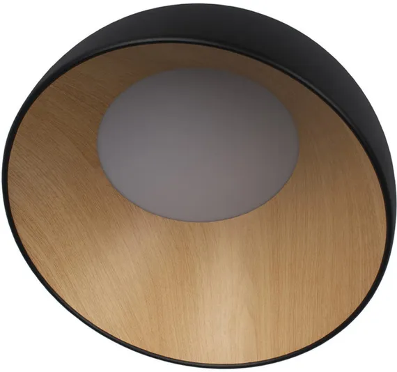 Потолочный светильник Egg 10197/350 Black Loft It