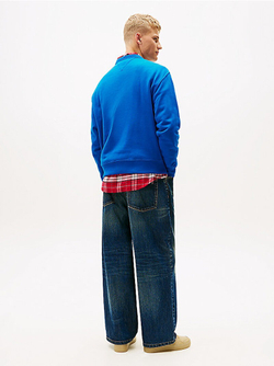 Толстовка мужская TOMMY JEANS TJM RLX BOUCLE FNT P