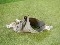 DSCN4549.jpg