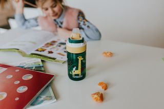 Бутылка для воды Lagoon Kids (400 мл), В джунглях