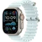 Умные часы Apple Watch Ultra 2 49 мм Natural Titanium Ocean Band Ice Blue