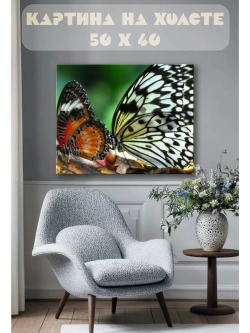 Картина на стену 40 X 50 Бабочки