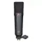 Neumann U 87 AI MT Studio Set