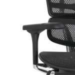 Кресло FALTO Ergohuman Elite 2 с подножкой ( чёрный каркас /сетка чёрный T-168-B1 Black )