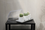 Лоток для выращивания растений micro green house, прозрачный